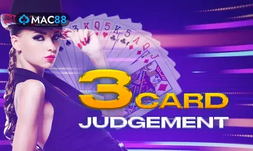 3 Card Judgement on MyTiger247