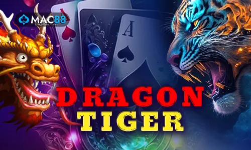 Dragon Tiger on MyTiger247