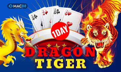 Dragon Tiger One Day on MyTiger247